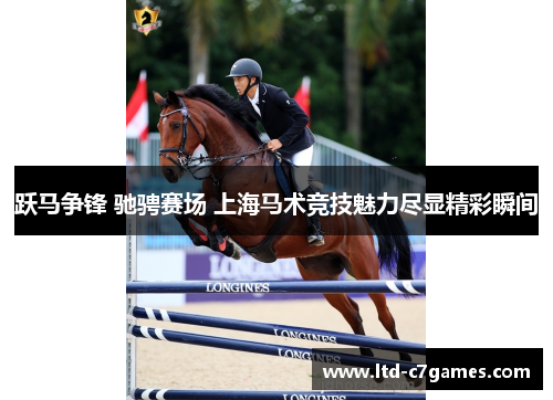 跃马争锋 驰骋赛场 上海马术竞技魅力尽显精彩瞬间 跃马争锋 驰骋赛场 上海马术竞技魅力尽显精彩瞬间